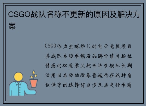 CSGO战队名称不更新的原因及解决方案