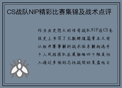 CS战队NIP精彩比赛集锦及战术点评